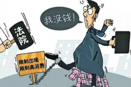 安徽专业讨债公司有哪些核心服务？